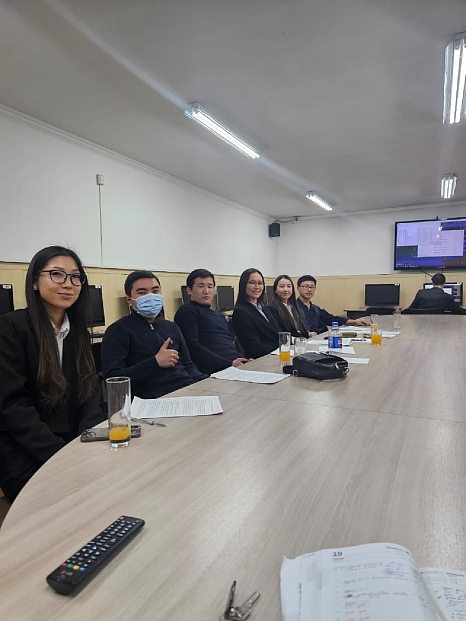 Участие в международном круглом столе «Вопросы противодействия домашнему насилию»